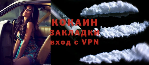 шишки Верея