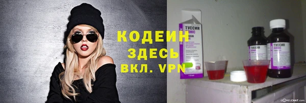 шишки Верея