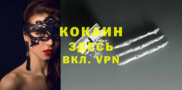 шишки Верея