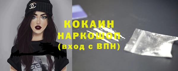 шишки Верея