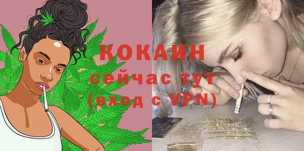 шишки Верея