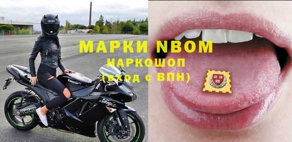 шишки Верея