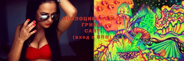 шишки Верея