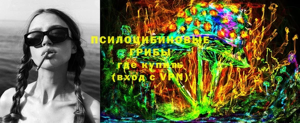 ешки Верхний Тагил
