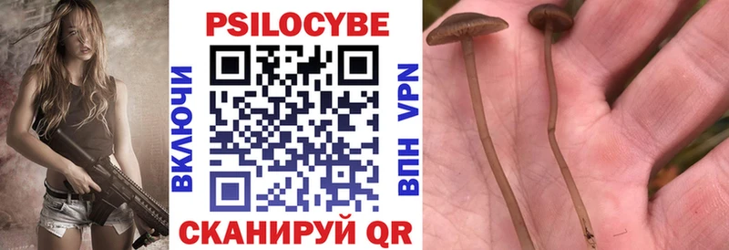 Купить где  Черногорск  Галлюциногенные грибы ЛСД 